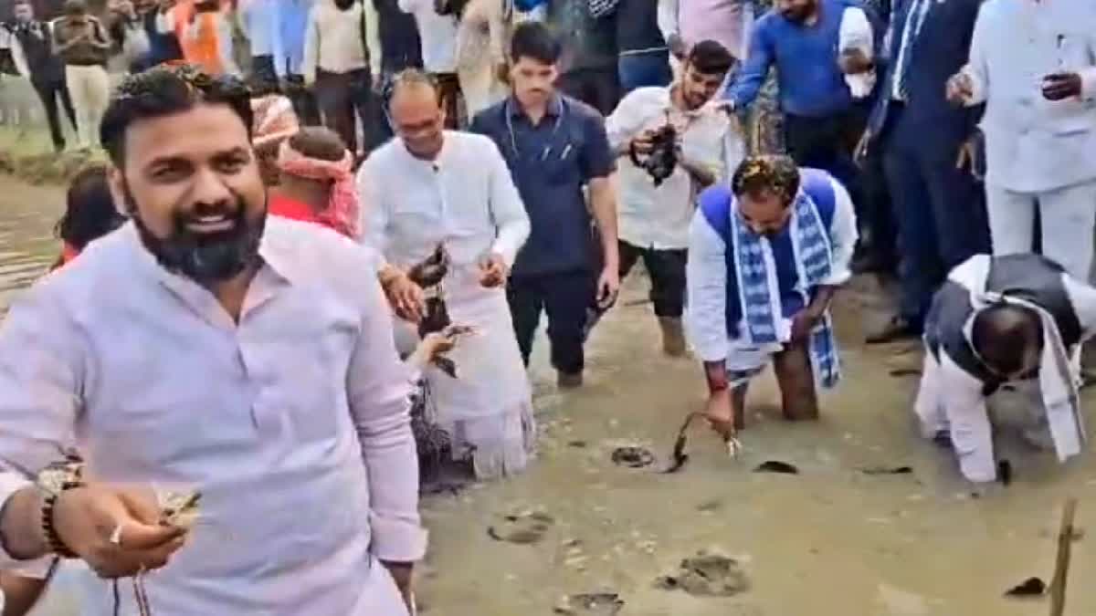 Union Agriculture Minister Shivraj Singh Chouhan sows Makhana seeds in a pond in Darbhanga, Bihar