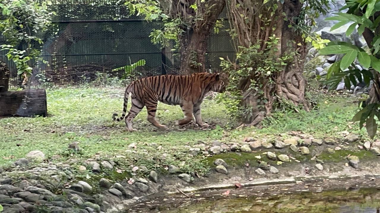 ALIPORE ZOO