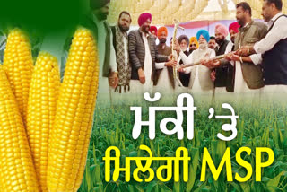 MSP ON MAIZE CROP FOR TWO YEARS