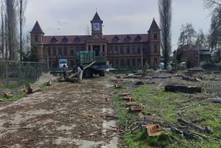 Over 200 Poplar Trees Axed at UNESCO-awarded Kashmir College