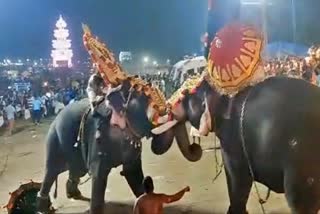 elephant fight in Thrissur