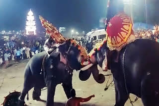 Elephants Fight during Thrissur 'Pooram' Festival