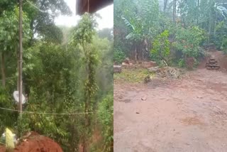 heavy-rain-in-chikkamagalur-and-coffee-growers-happy-for-rain