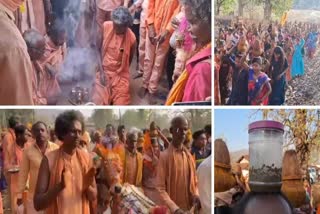 Unique Holi organized in Kandsar Gaushala