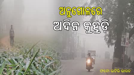 ଅନୁଗୋଳ