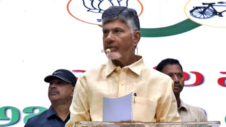 Chandrababu At TDP workshop in Vijayawada 2024