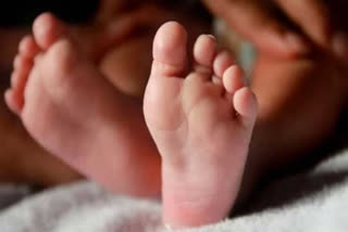 3-Years-Old Bengaluru Girl Dies After Tree Falls On Moving Bike Amid Incessant Rains