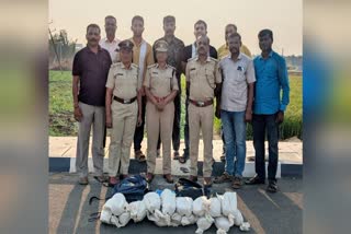 ತುಮಕೂರಲ್ಲಿ ಗಾಂಜಾ ಮಾರಾಟ, ಡ್ರಗ್ ಪೆಡ್ಲರ್, Drug Peddler