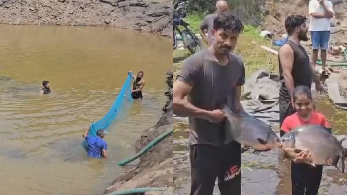 SUCCESSFUL IN FISH FARMING  ഇടുക്കി  FISH FARMING  മത്സ്യകൃഷി