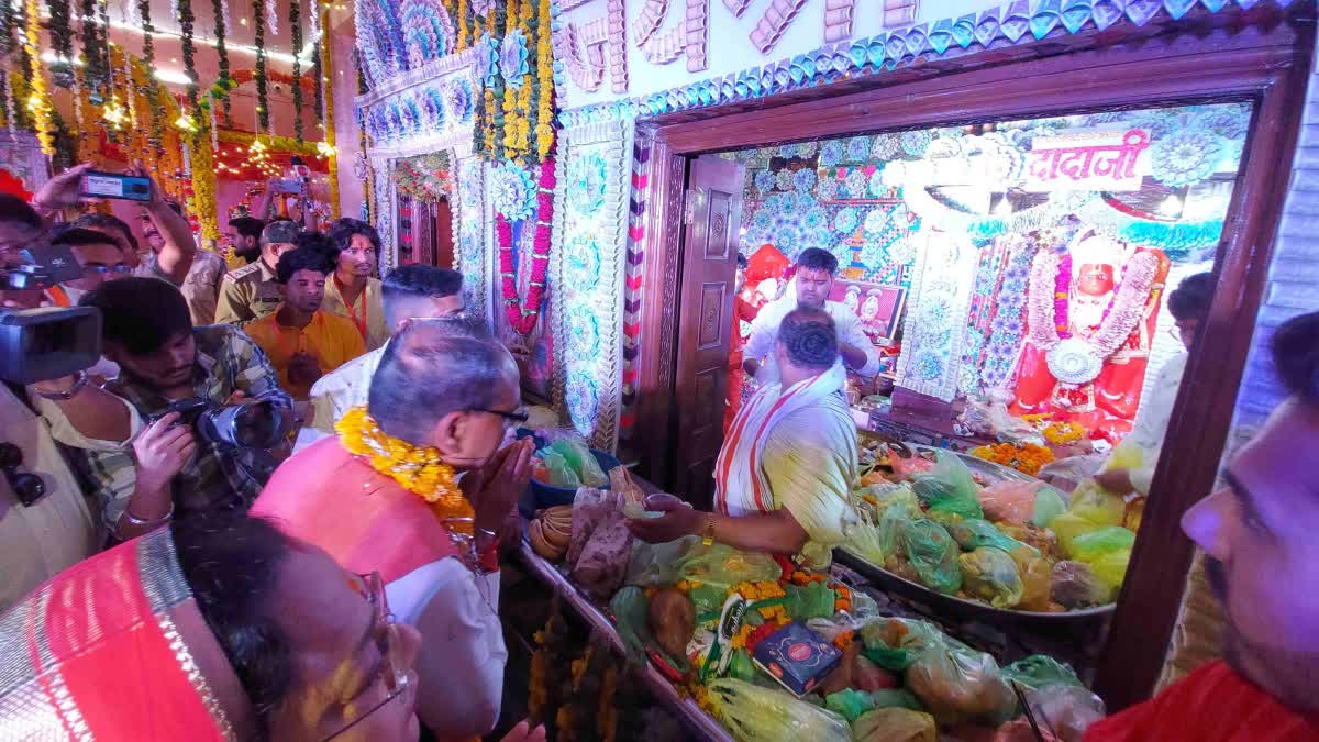 Vidisha hanuman janmotsav celebration