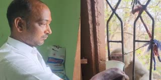 Man Helps Monkey Drink Water in Jagtial