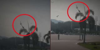 Video of two military helicopters colliding in Malaysia