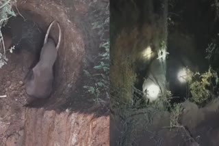 WILD ELEPHANT DEATH  THRISSUR  കിണറ്റിൽ വീണ കാട്ടാന ചരിഞ്ഞു  FOREST DEPARTMENT