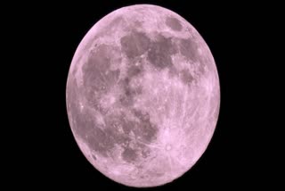 Pink Full Moon 2024