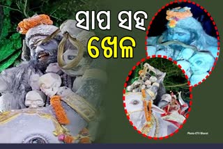 ବନ୍ୟଜନ୍ତୁ ସୁରକ୍ଷା ଆଇନକୁ ବେଖାତିର