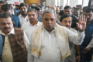 Karnataka Chief Minister Siddaramaiah on Tuesday said there is no Modi wave in the ongoing Lok Sabha elections but there is one in favour of the Congress party's guarantee schemes in the state.