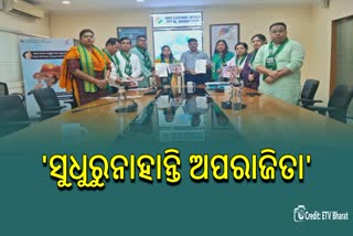 BJD meet CEO