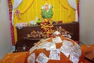 1QUINTAL LADDU OFFER TO HANUMAN