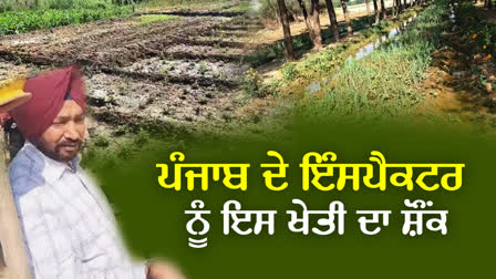 Inspector Jarnail Singh Organic Farmer