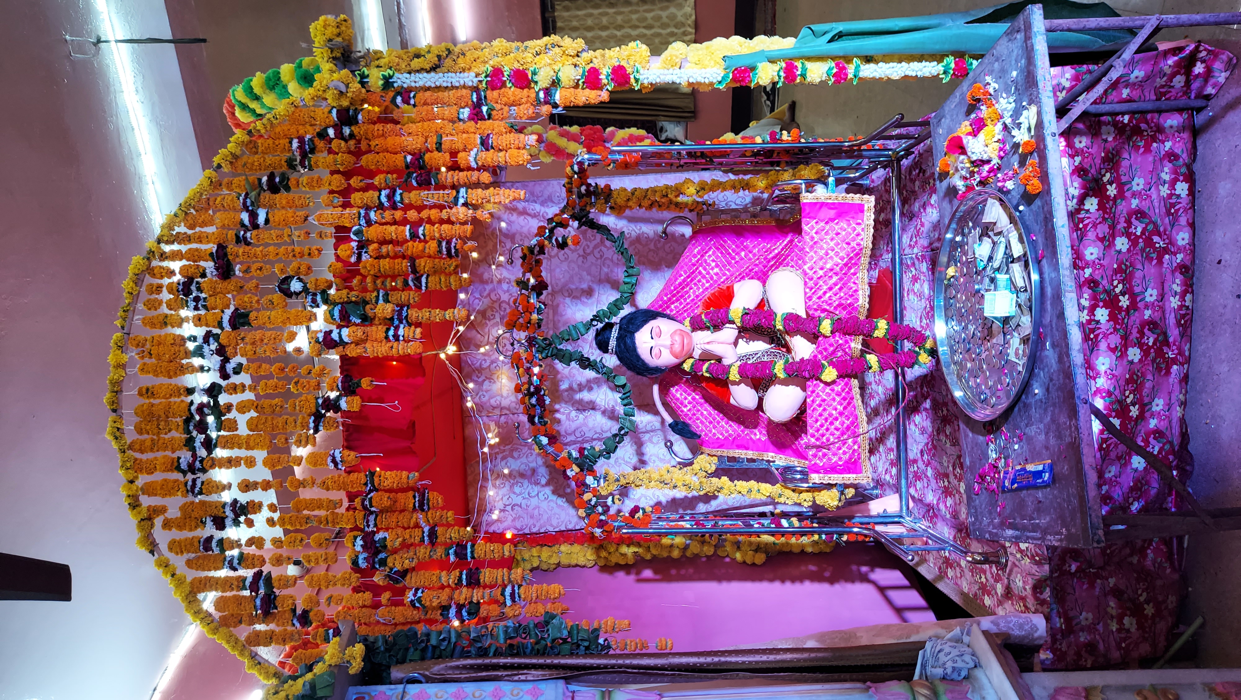Vidisha hanuman janmotsav celebration