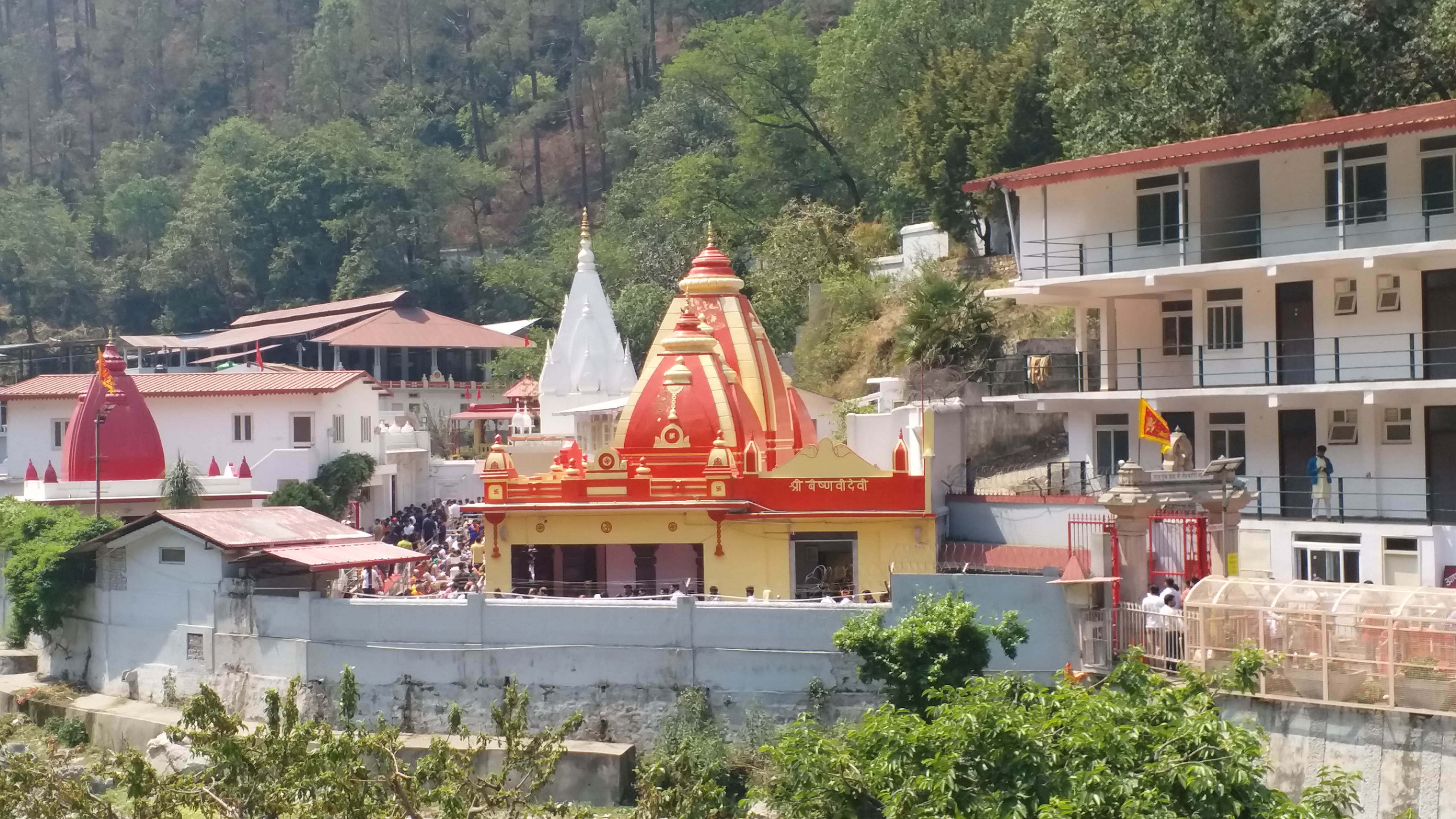 Hanuman Jayanti in Kainchi Dham