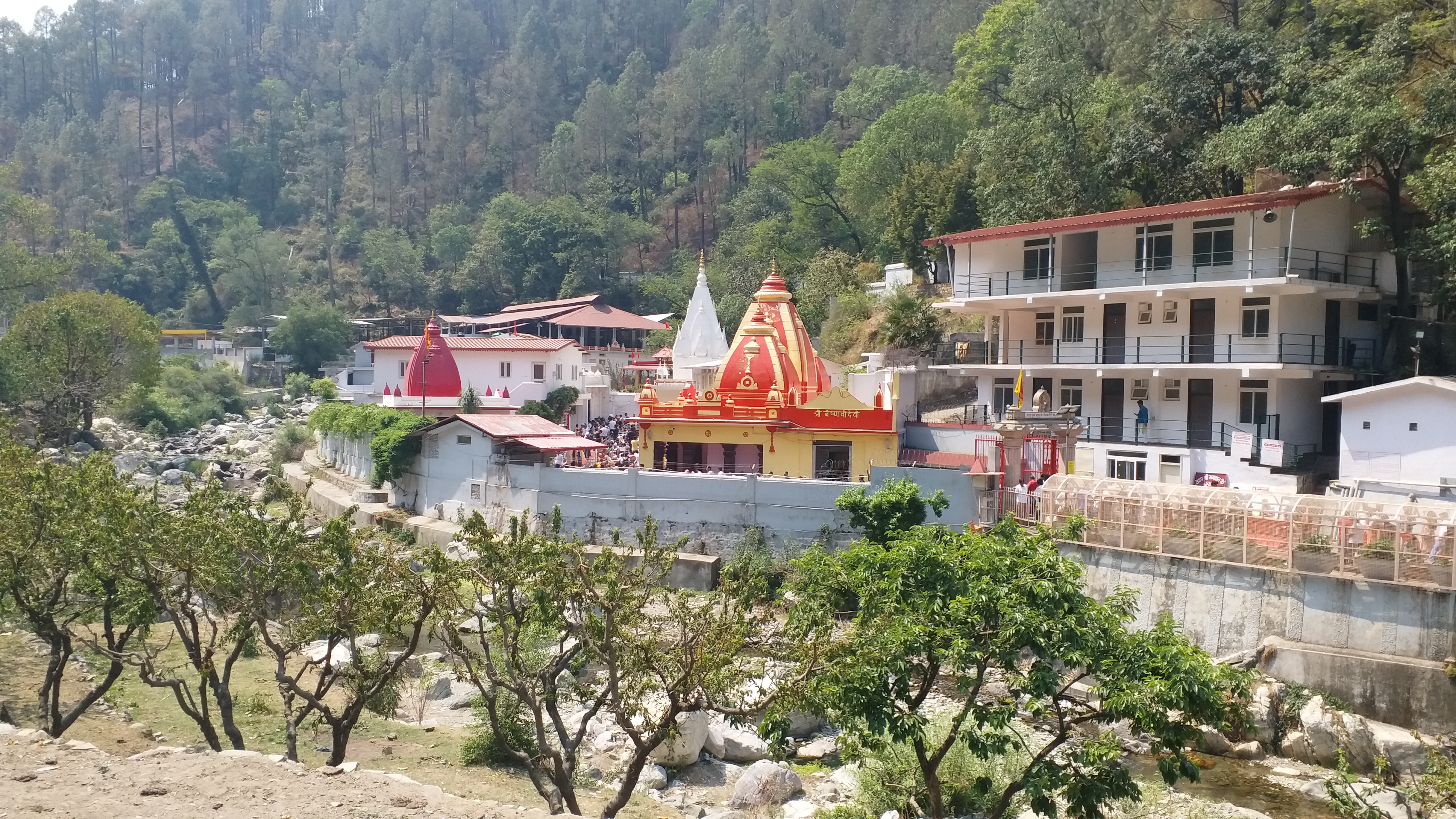 Hanuman Jayanti in Kainchi Dham