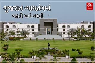 ફાઈલ ફોટો