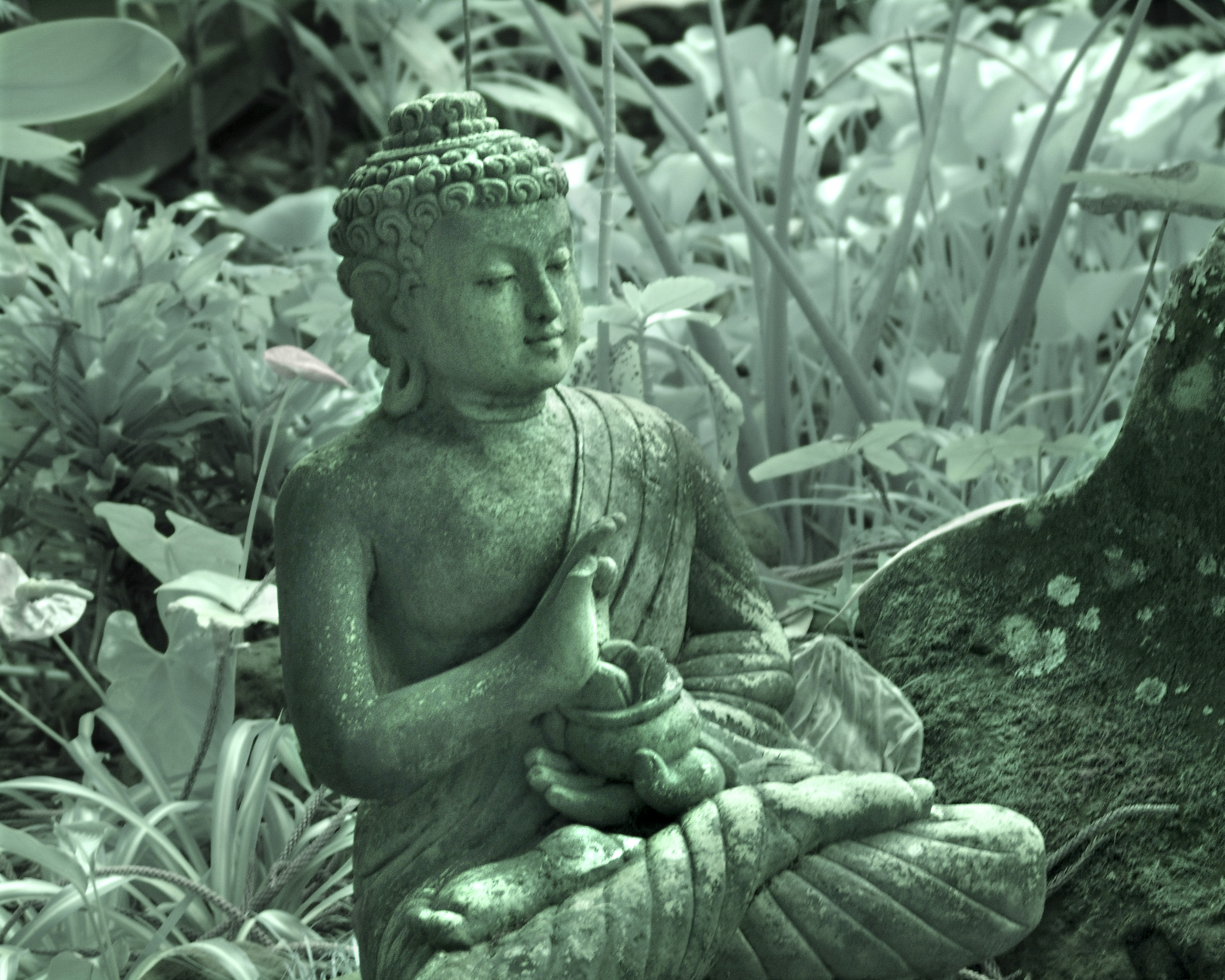 Representational Image