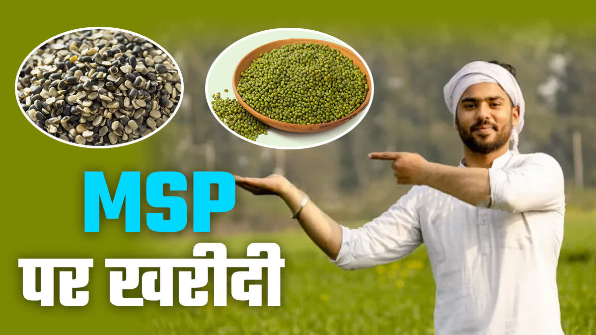 Madhya Pradesh Moong Urad Msp plan