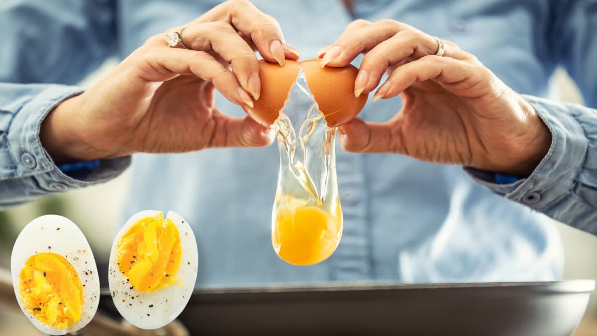What Should Not Eat with Eggs News