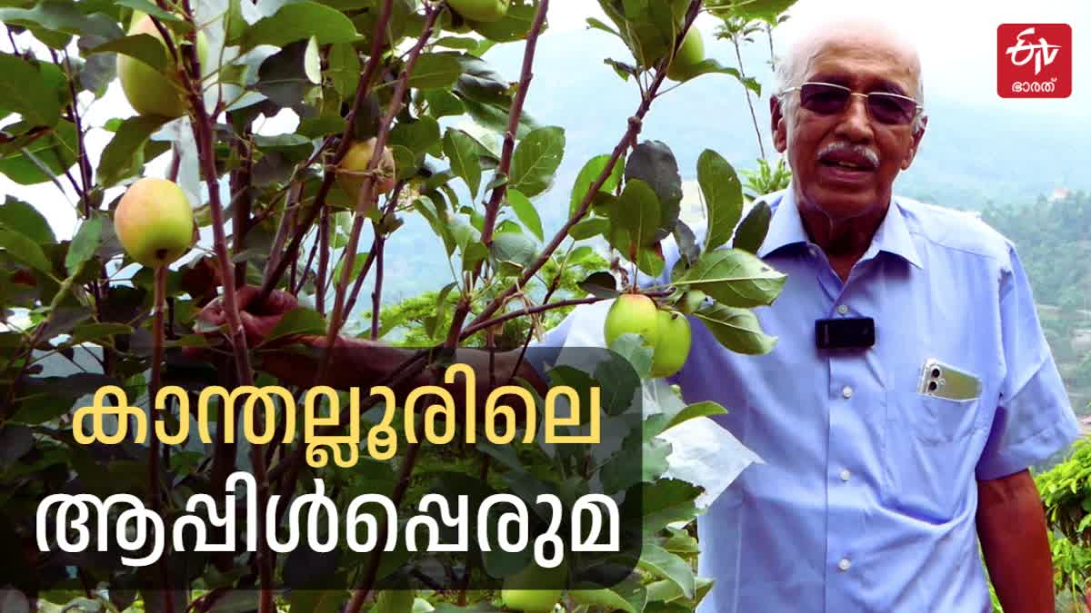 TRIP TO APPLE VALLEY KANTHALLOOR  KANTHALLOOR TOURIST DESTINATION  KANTHALLOOR MIST AND APPLE ORCHARDS  കാന്തല്ലൂർ മൂന്നാർ ഇടുക്കി യാത്ര