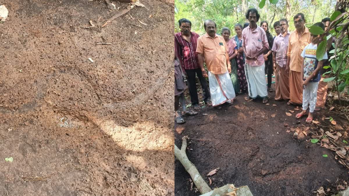 പാറപ്പുറത്ത് അടയിരിക്കുന്ന സര്‍പ്പം  സര്‍പ്പം ശിലാചിത്രം കാസര്‍കോട്  STONE AGE REMAINS OF A SNAKE  PETROGLYPH OF SNAKE IN KASARAGOD