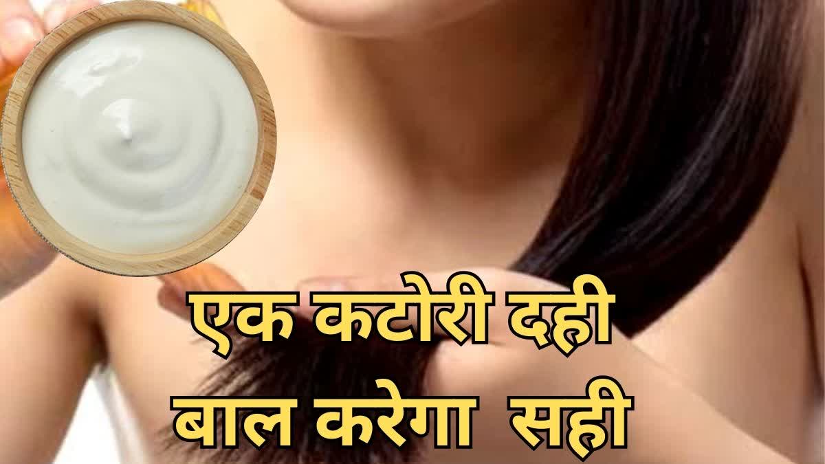 Hair Problem Curd Solution