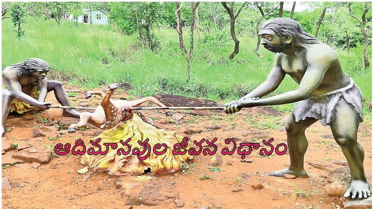 నల్లమలను చూసొద్దాం