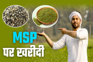 Madhya Pradesh Moong Urad Msp plan