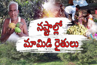 Heavy Loss to Mango Farmers