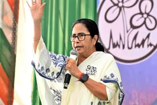 SCRAPPING OBC CERTIFICATES  CALCUTTA HIGH COURT ORDER  MAMATA BANERJEE  WEST BENGAL