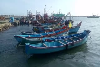 TRAWLING BAN  സംസ്ഥാനത്ത് ട്രോളിങ് നിരോധനം  മന്ത്രി സജി ചെറിയാൻ  FREE RATION FOR FISHERMAN