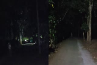 WILD ANIMAL ATTACK IN IDUKKI  LACK OF STREETLIGHTS  ഇടുക്കി കാഞ്ചിയാർ  FOREST DEPARTMENT