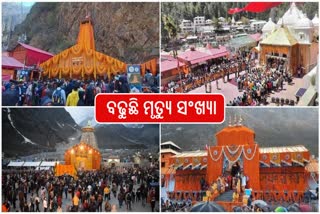 CHARDHAM YATRA 2024