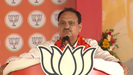 Odisha MLAs, MPs Cannot Meet CM, Govt Is 'Outsourced': Nadda