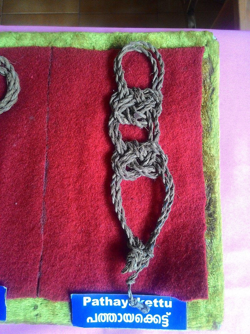 Kanikkar Tribe Tribe Communication Language