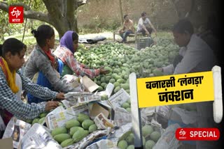 Etv Bharat