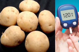 Does eating potatoes not increase blood sugar level? Diabetes patients can also eat potatoes, experts claim