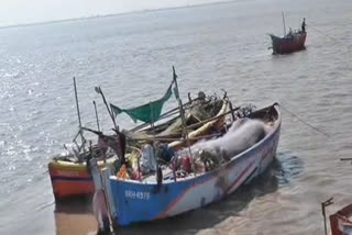 ભરૂચ જિલ્લામાં યલો એલર્ટ જાહેર