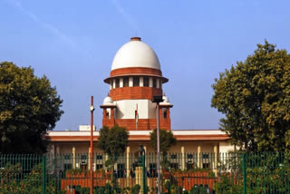 The Supreme Court on Friday underlined the need for dedicated courts for NIA cases while calling for a "judicial audit" of laws enacted by the Centre and the prospective ones by the states.
