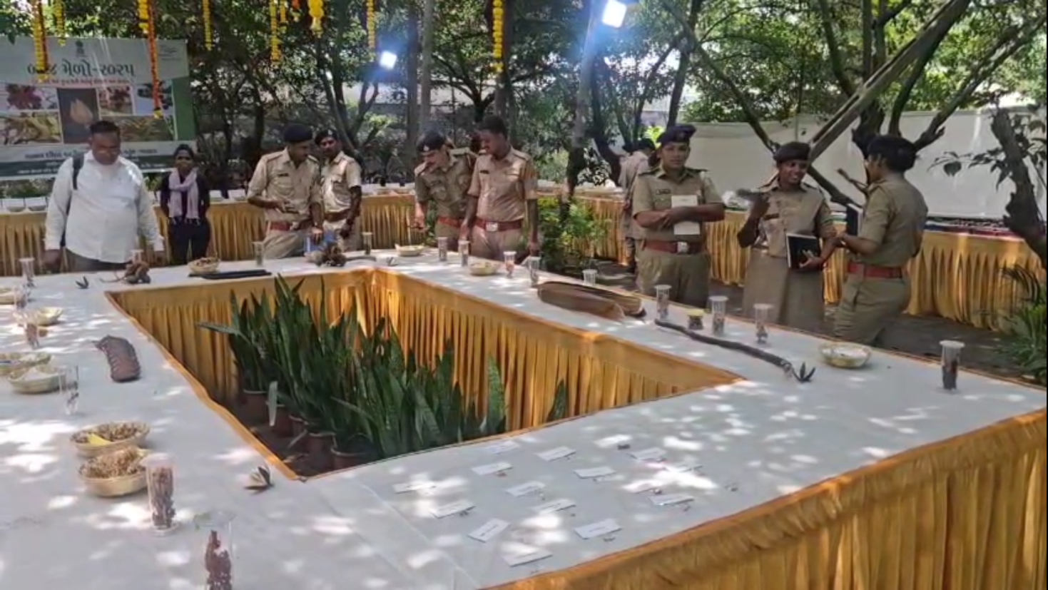 વલસાડમાં વિલુપ્ત થતા વૃક્ષોનો બીજ મેળો