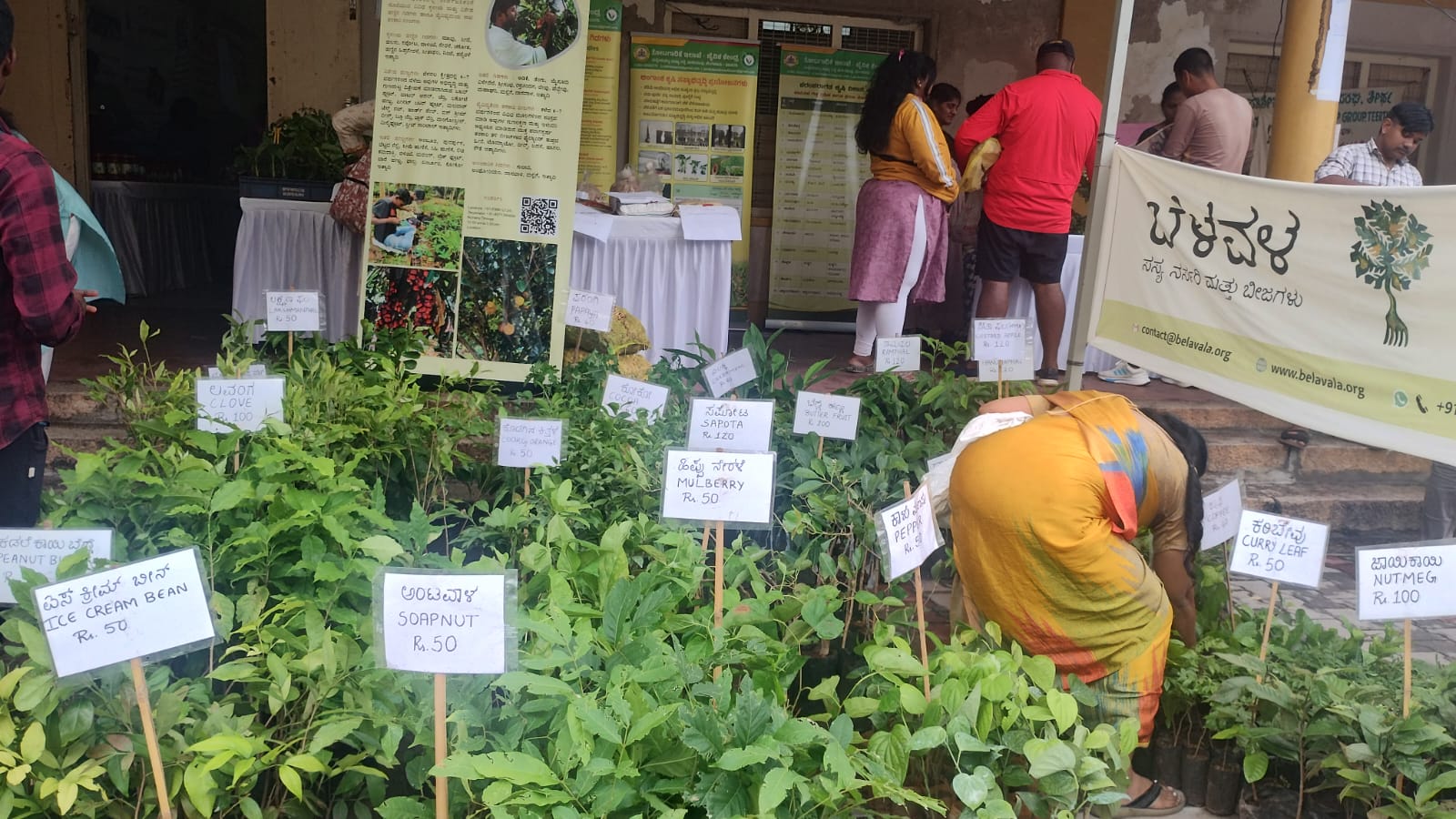 Organic mango and jackfruit fair