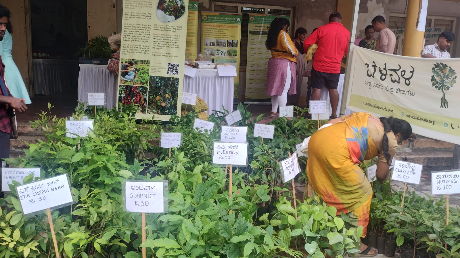 Organic mango and jackfruit fair