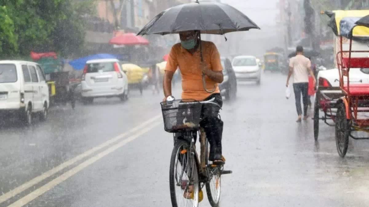 rain in haryana